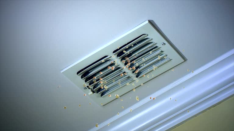Best Air Duct Cleaning Near Me  in Cottage Grove, WI